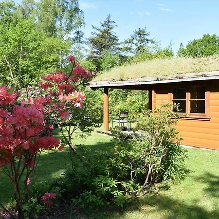 10084-1-rorvig-sondervangen-12